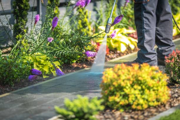 Professional Pressure Washing Services in Wichita Falls, TX